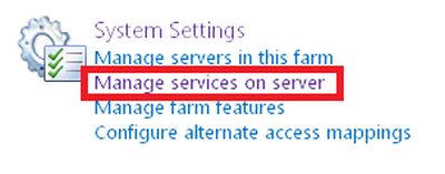 manage service on server